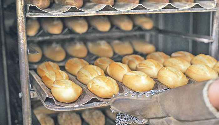Carrera SENATI Panadería Industrial